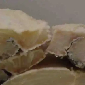 Wet and Dried Salted Cod fish Loins