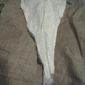 Codfish Fillets
