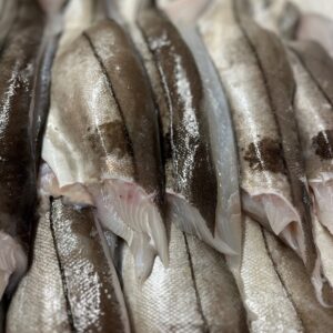 Frozen Haddock Fillet