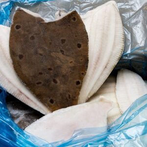 Frozen Plaice Fillets