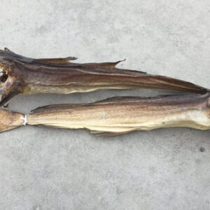 Whole Stockfish