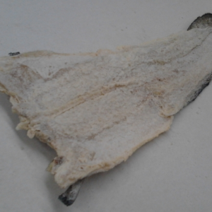 Whole Tusk Fish