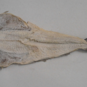 whole Haddock fish